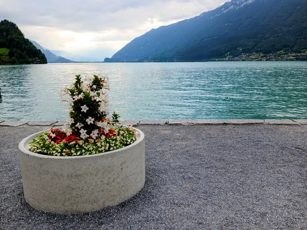 Giessbach Iseltwald Cloy — Happy Tour Switzerland (39)