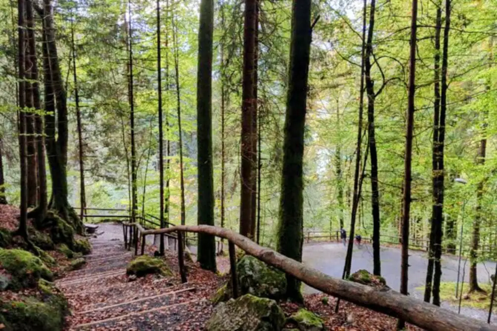 Giessbach Iseltwald Cloy — Happy Tour Switzerland (4)