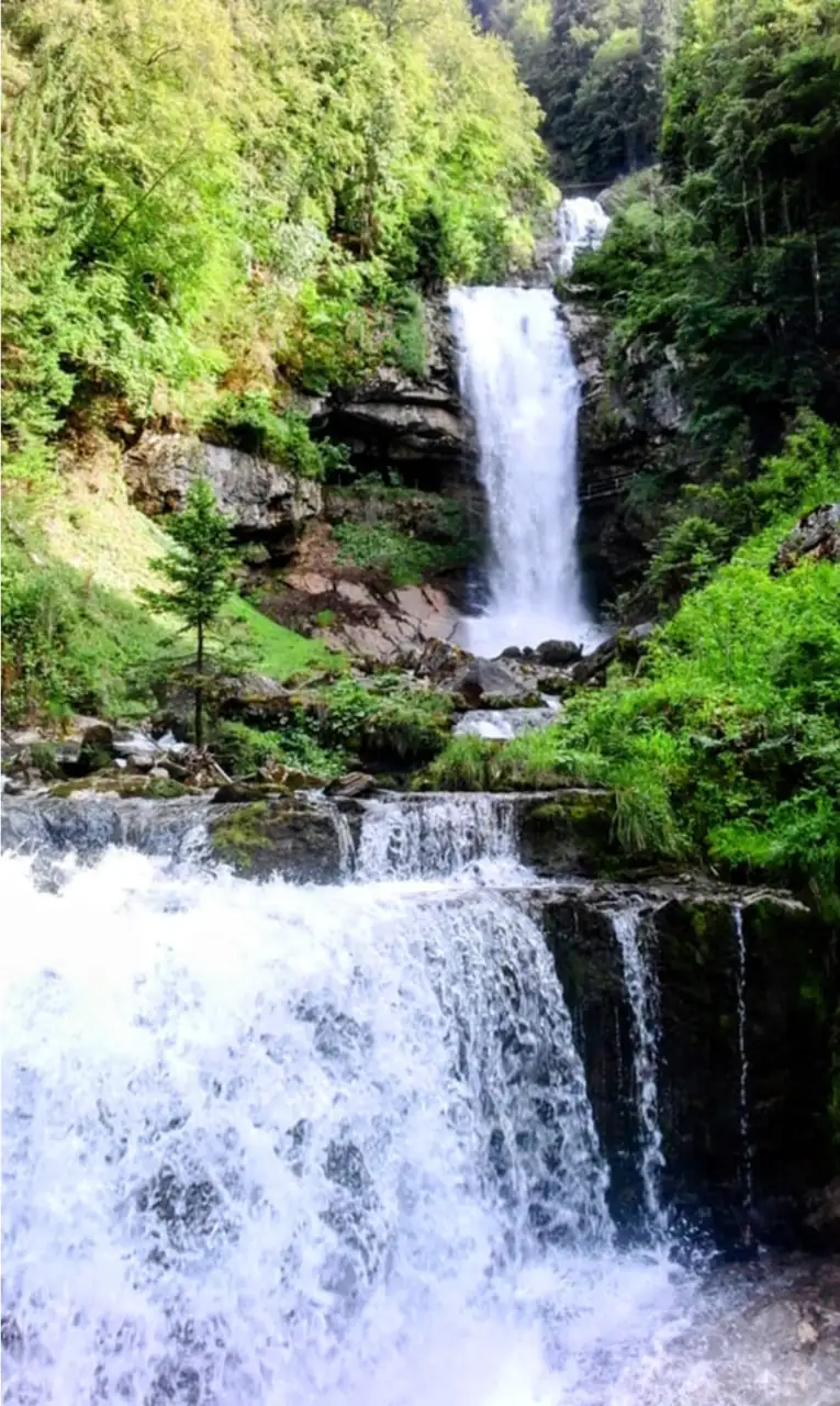 Giessbach Waterfall Tour Bern, Thun — Happy Tour Switzerland (13)