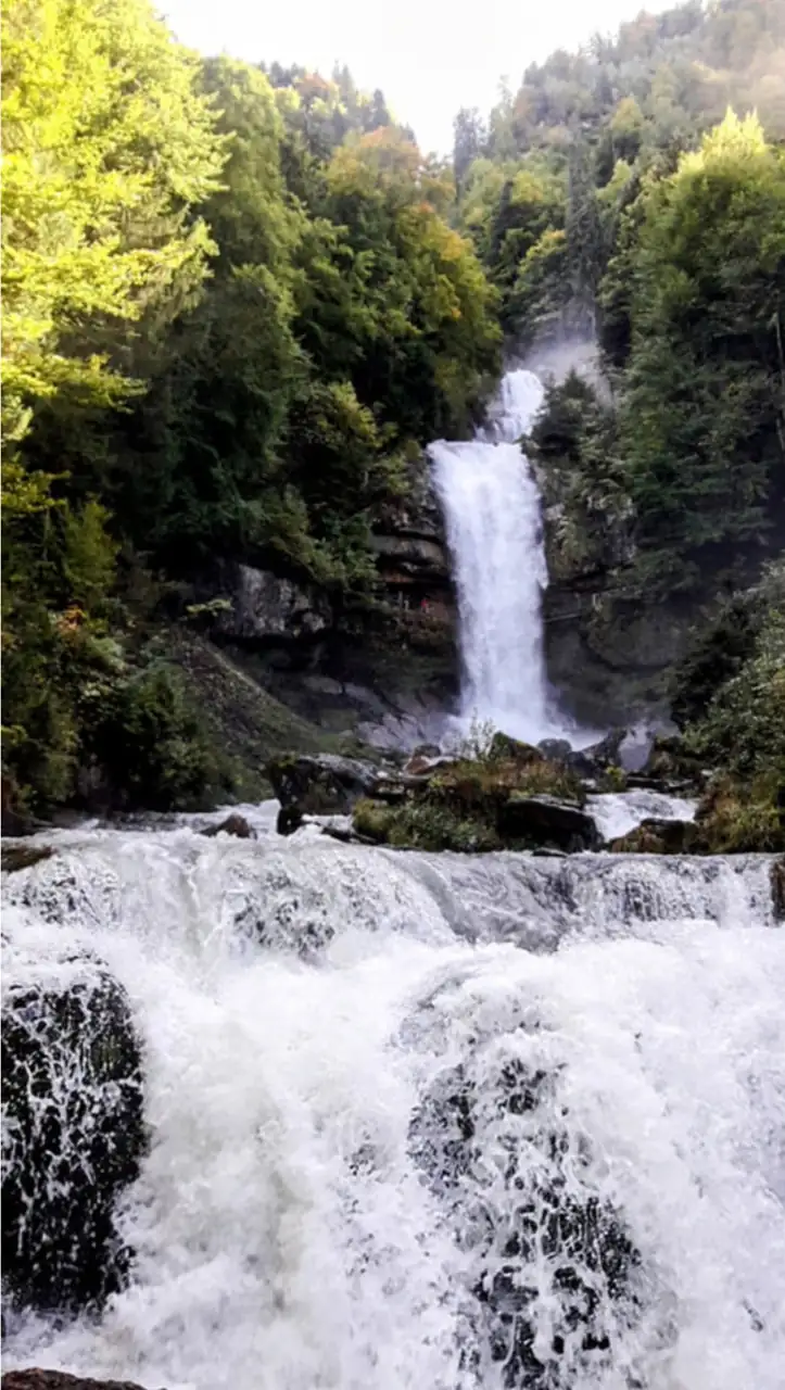 Giessbach Waterfall Tour Bern, Thun — Happy Tour Switzerland (14)