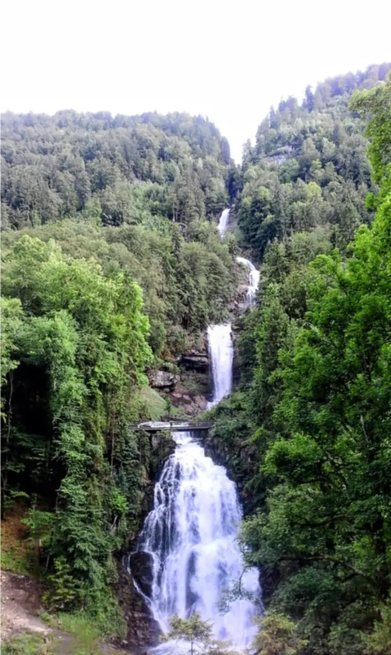 Giessbach Waterfall Tour Bern, Thun — Happy Tour Switzerland (16)