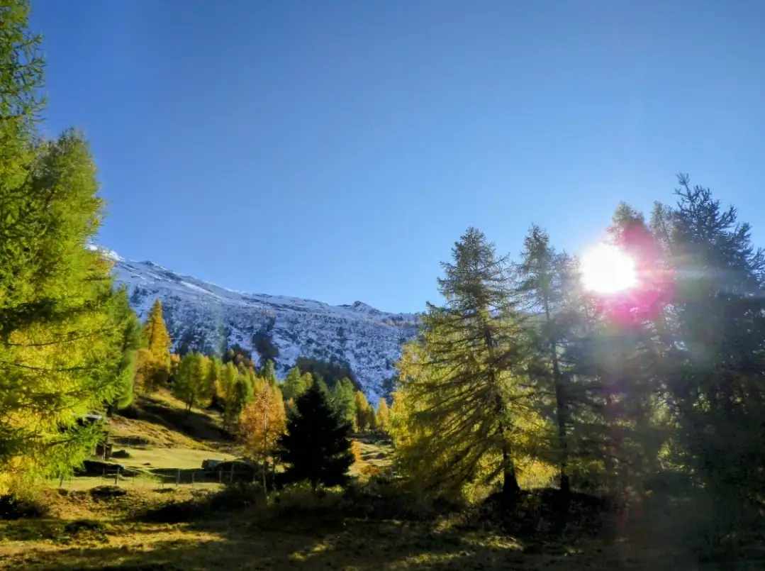 Zermatt Lucern Lungern Cloy Iseltwald Interlaken — Happy Tour Switzerland (27)