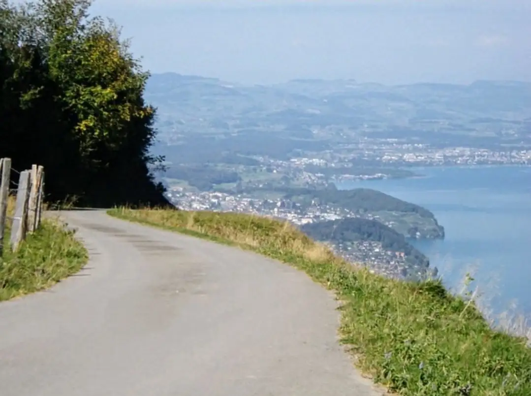 Heaven Lake View From Interlaken Quick — Happy Tour Switzerland (7)