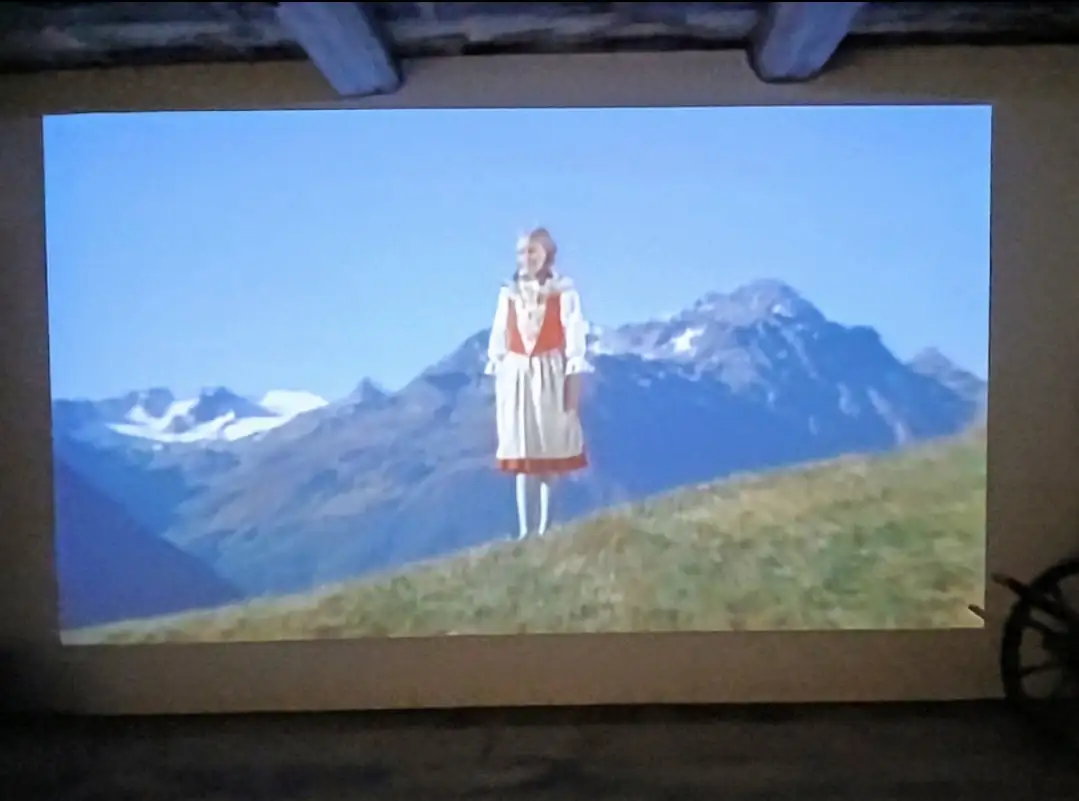 Heidi Land Tour With Vaduz From Zurich Zurich — Happy Tour Switzerland (44)