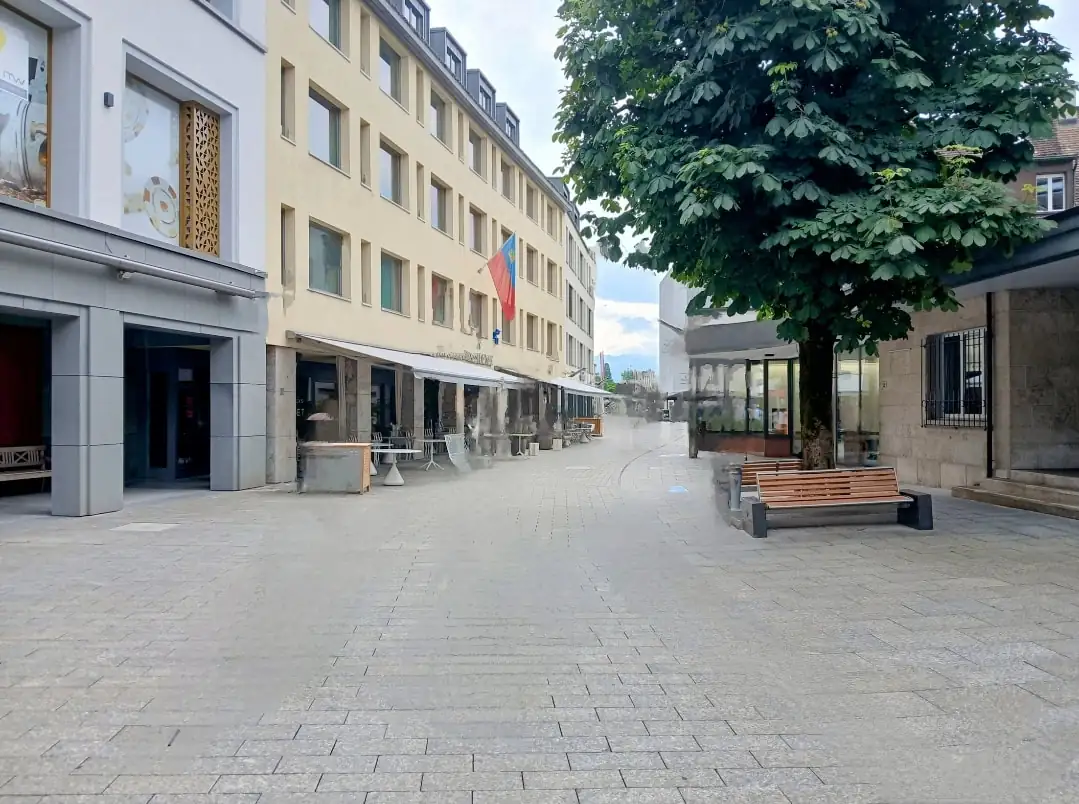 Heidi Land Tour With Vaduz From Zurich Zurich — Happy Tour Switzerland (56)