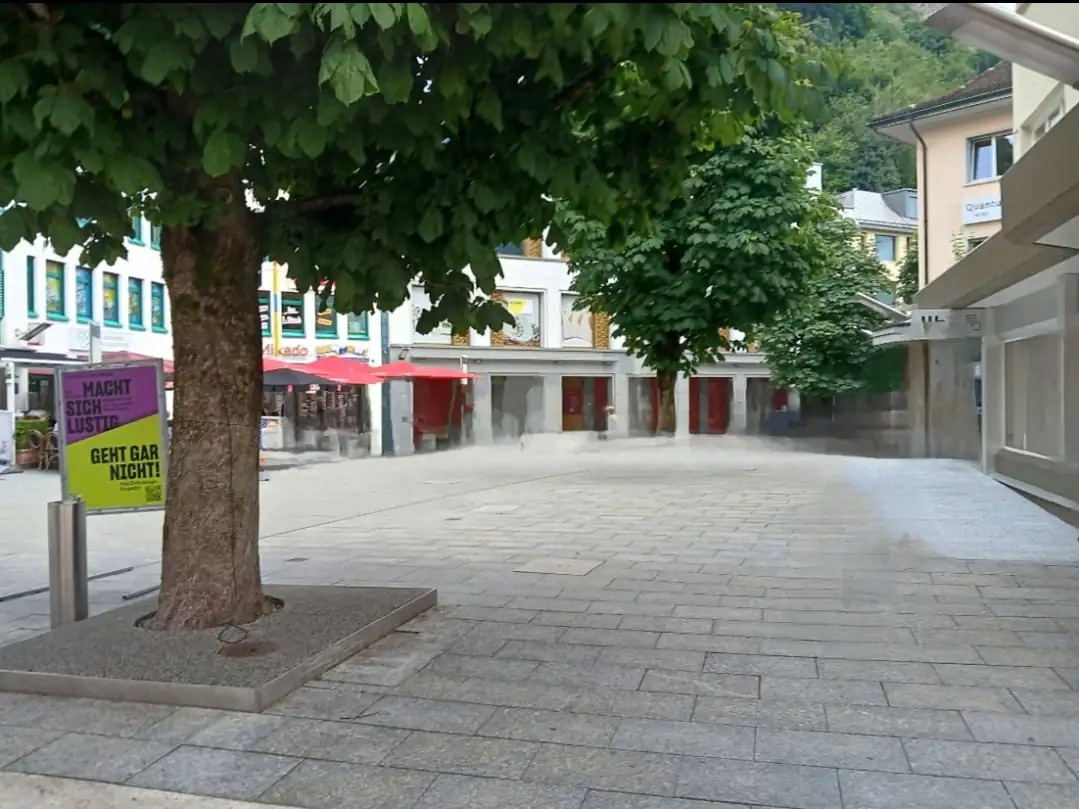 Heidi Land Tour With Vaduz From Zurich Zurich — Happy Tour Switzerland (58)