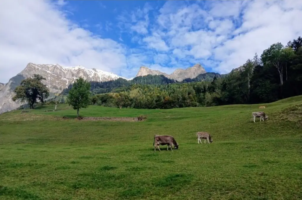 Heidiland Tour Bern, Thun — Happy Tour Switzerland (5)