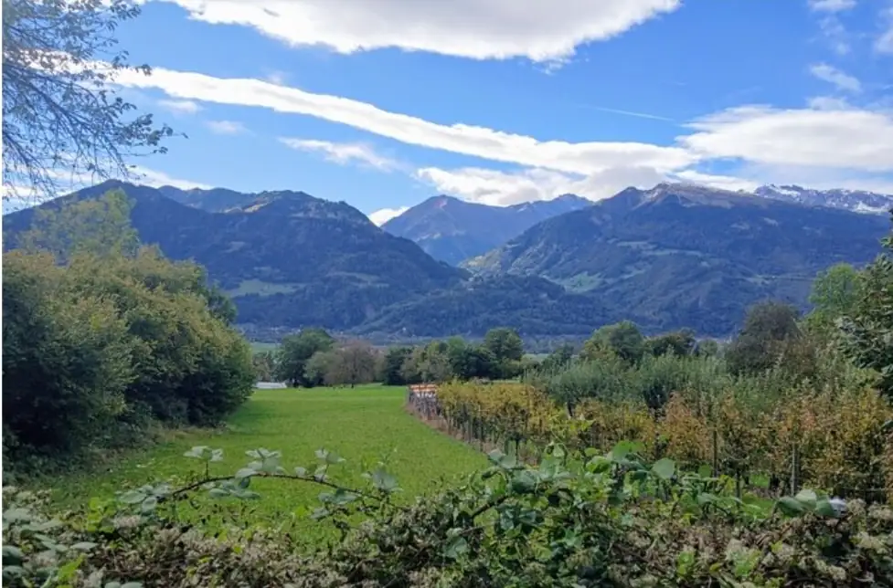 Heidiland Tour Bern, Thun — Happy Tour Switzerland (8)