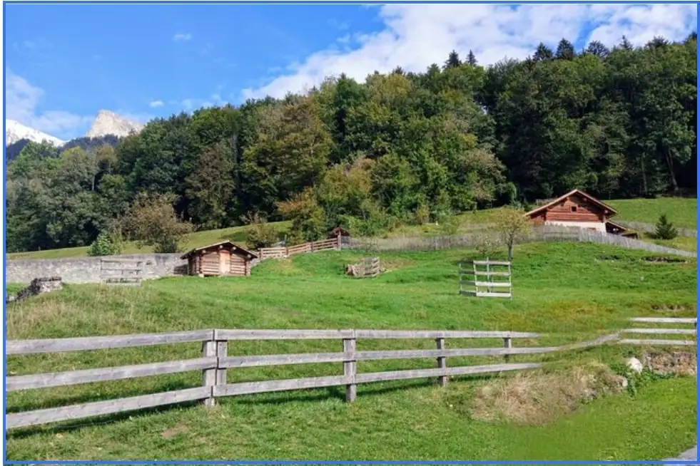 Heidiland Tour Bern, Thun — Happy Tour Switzerland (22)