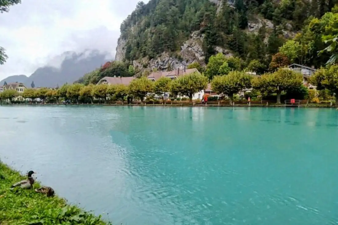 Interlaken Walking — Happy Tour Switzerland (22)