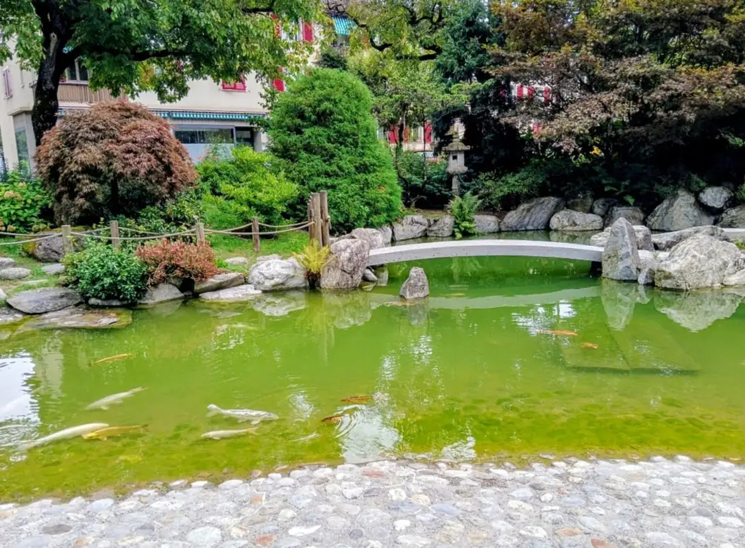 Interlaken Walking — Happy Tour Switzerland (9)
