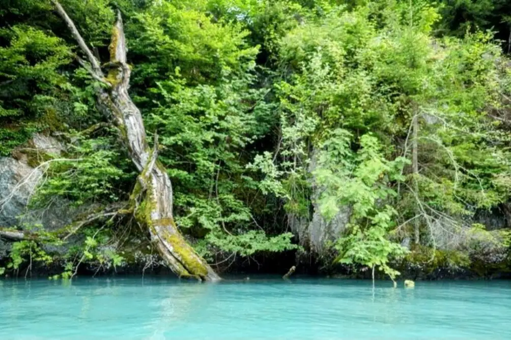 Kayak Rental Thun, Spiez — Happy Tour Switzerland (11)