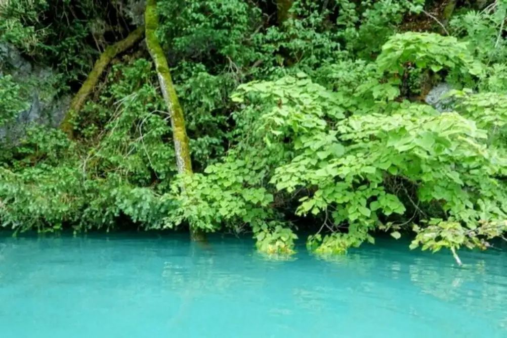 Kayak Rental Thun, Spiez — Happy Tour Switzerland (14)