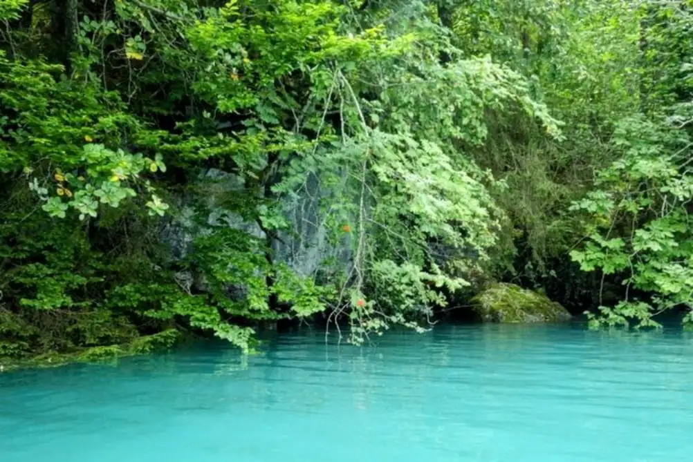Kayak Rental Thun, Spiez — Happy Tour Switzerland (16)