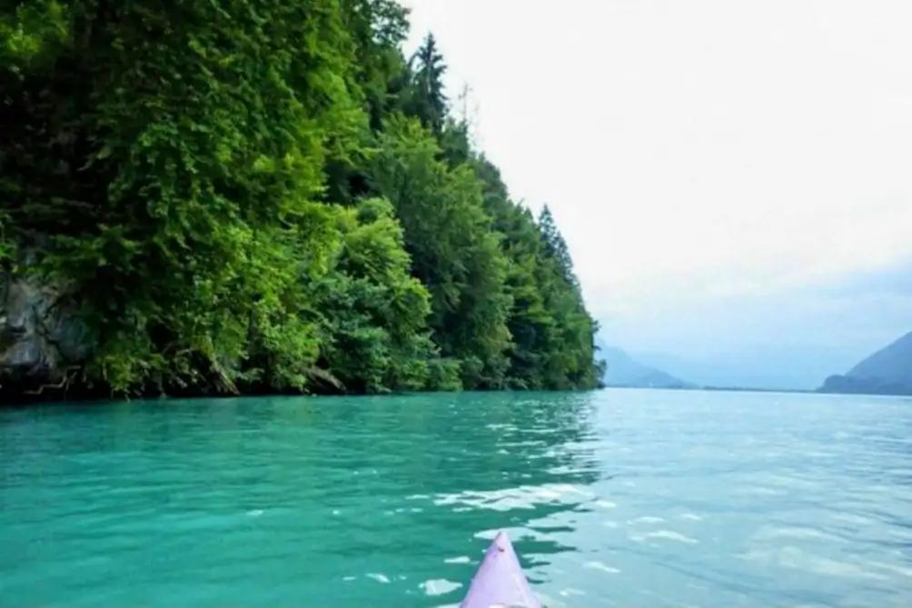 Kayak Rental Thun, Spiez — Happy Tour Switzerland (17)