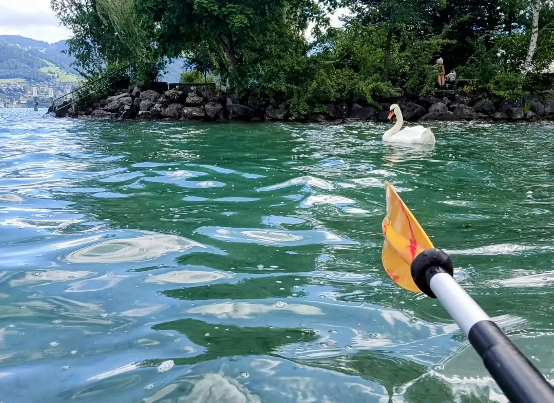 Kayak Rental Thun, Spiez — Happy Tour Switzerland (7)