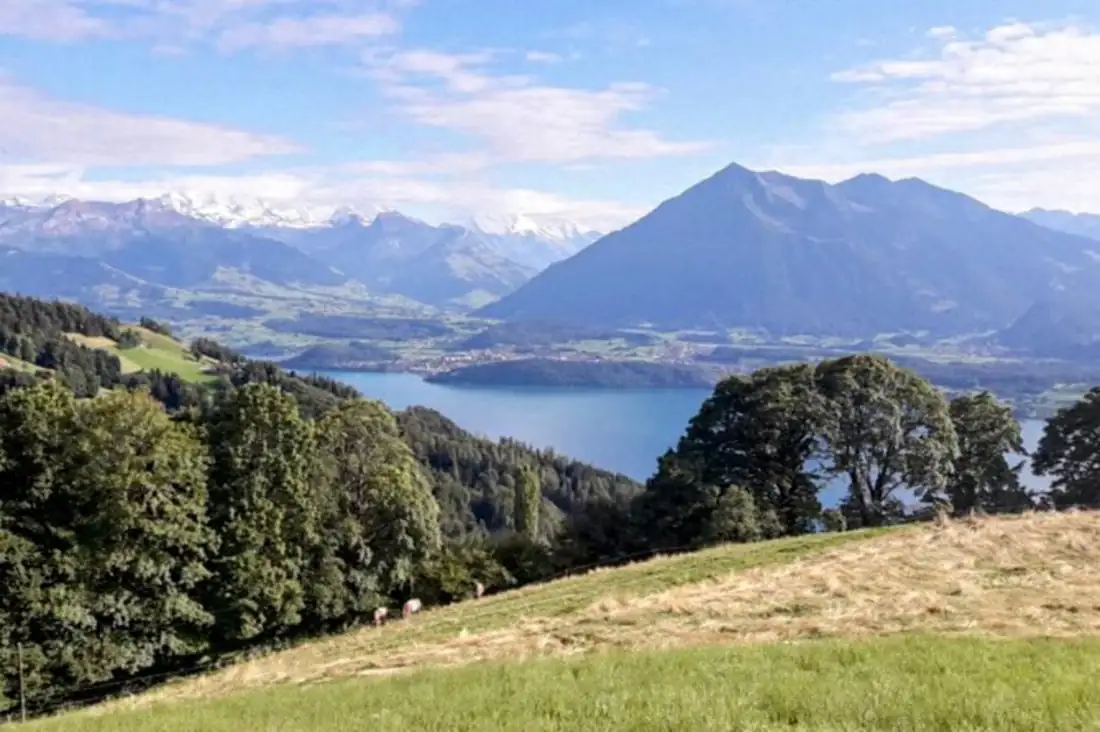Lake Cloy Hanging Bridge Thun Castle — Happy Tour Switzerland (34)