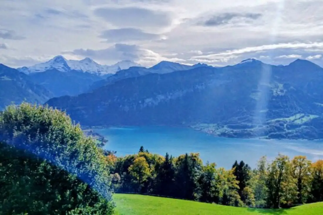 Lake Cloy Hanging Bridge Thun Castle — Happy Tour Switzerland (4)