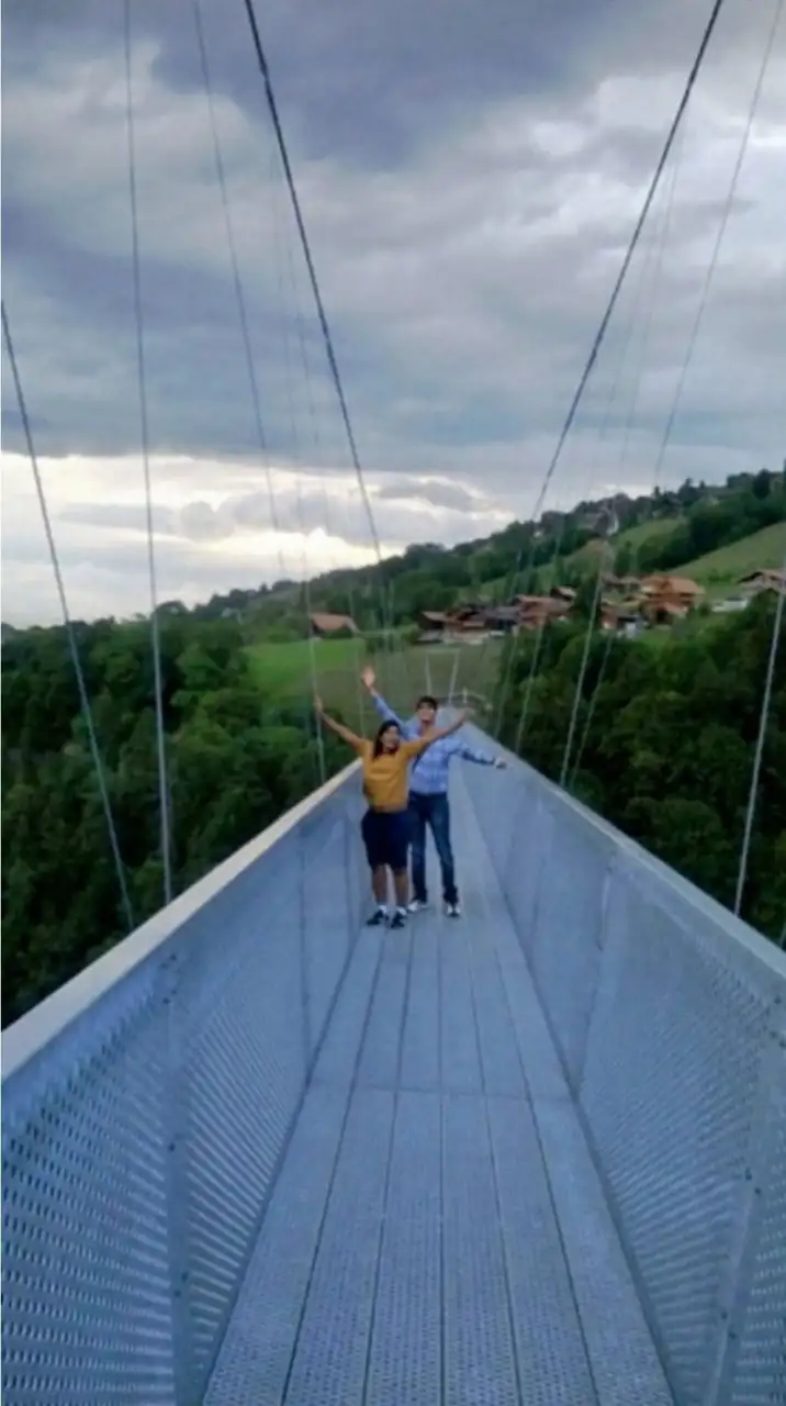 Lake + Cloy Bridge + Thun + Castle Tour Bern, Thun — Happy Tour Switzerland (31)
