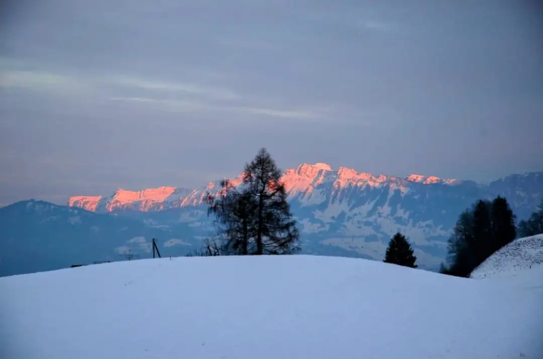 Lake + Cloy Bridge + Thun + Castle Tour Bern, Thun — Happy Tour Switzerland (40)