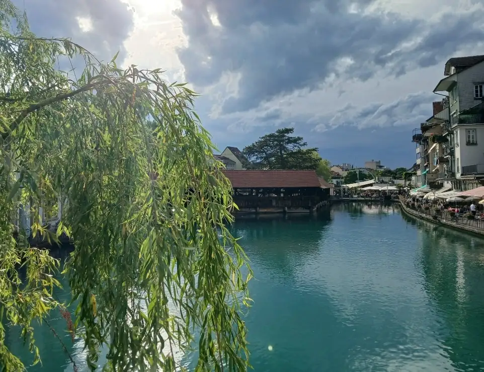 Lake + Cloy Bridge + Thun + Castle Tour Bern, Thun — Happy Tour Switzerland (56)
