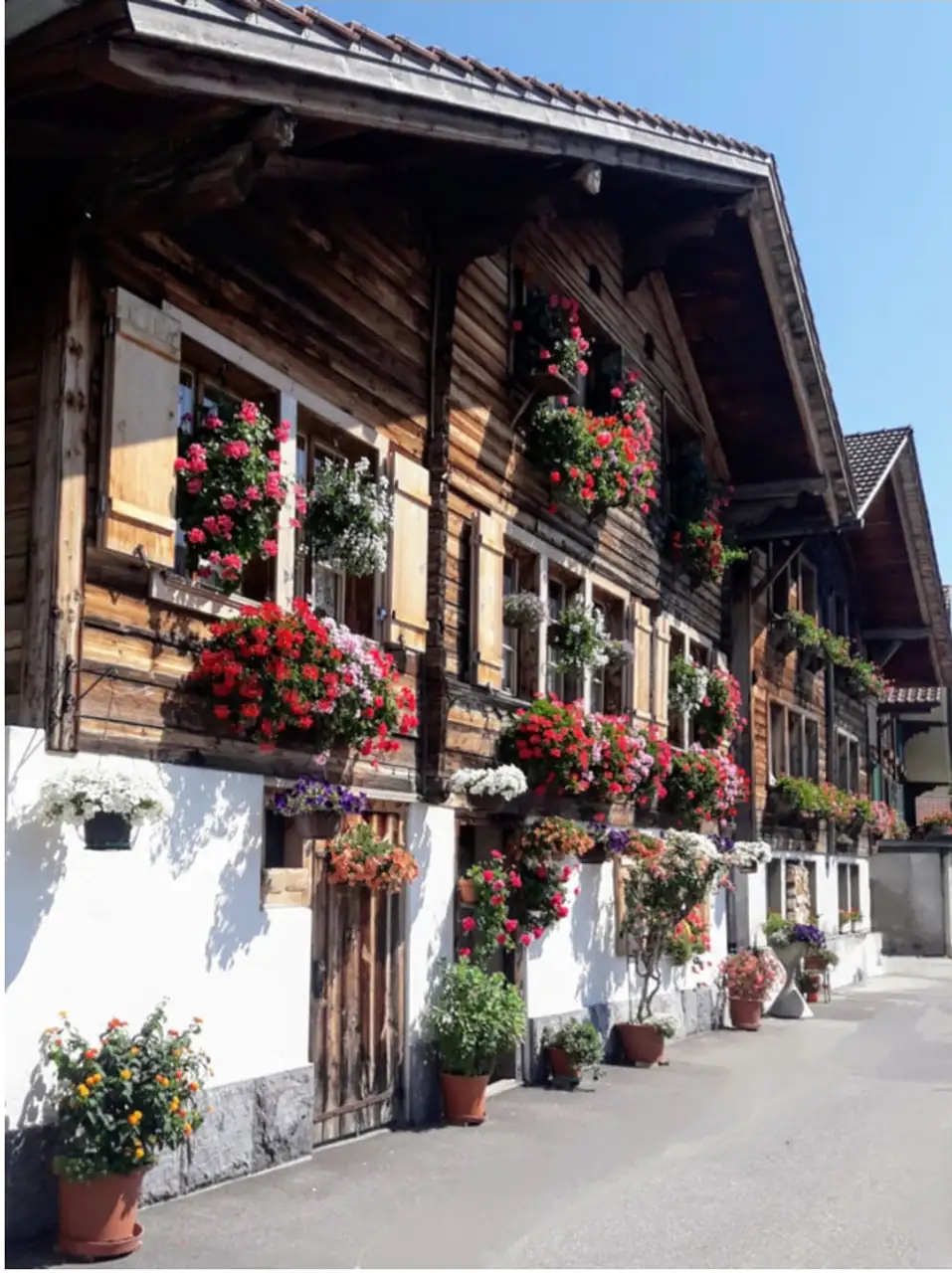 Lake + Waterfall + Aare Gorge + Cloy Pier Iseltwald Bern, Thun — Happy Tour Switzerland (2)
