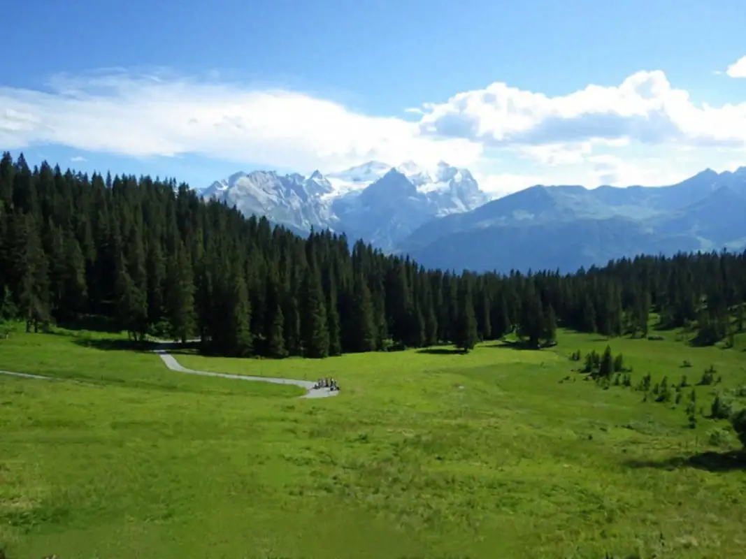 Monster Down Hill Drill Ride Activity — Happy Tour Switzerland (12)