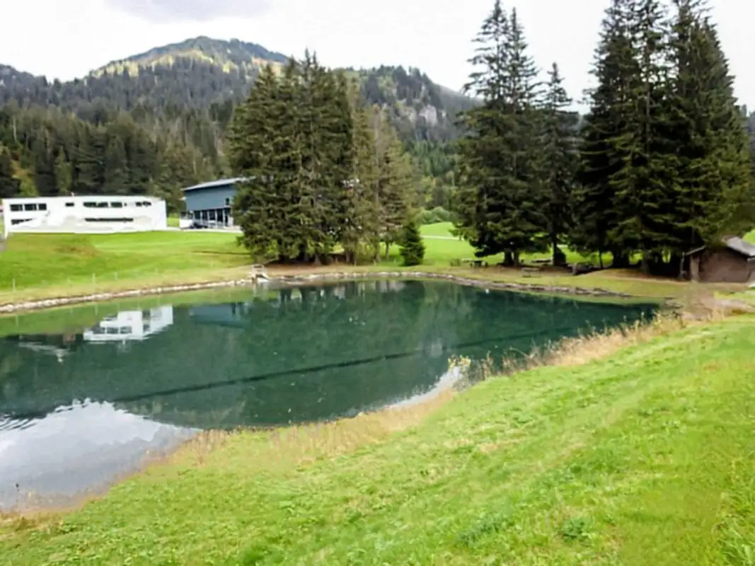 Monster Down Hill Drill Ride Activity — Happy Tour Switzerland (16)