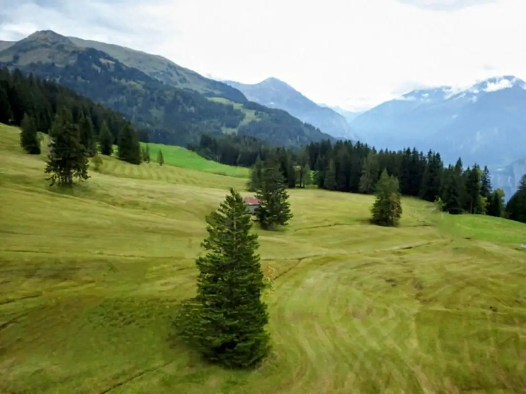 Monster Down Hill Drill Ride Activity — Happy Tour Switzerland (2)