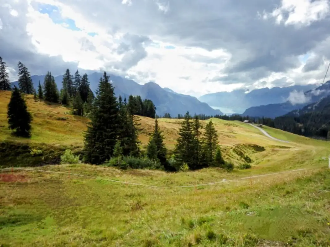Monster Down Hill Drill Ride Activity — Happy Tour Switzerland (8)