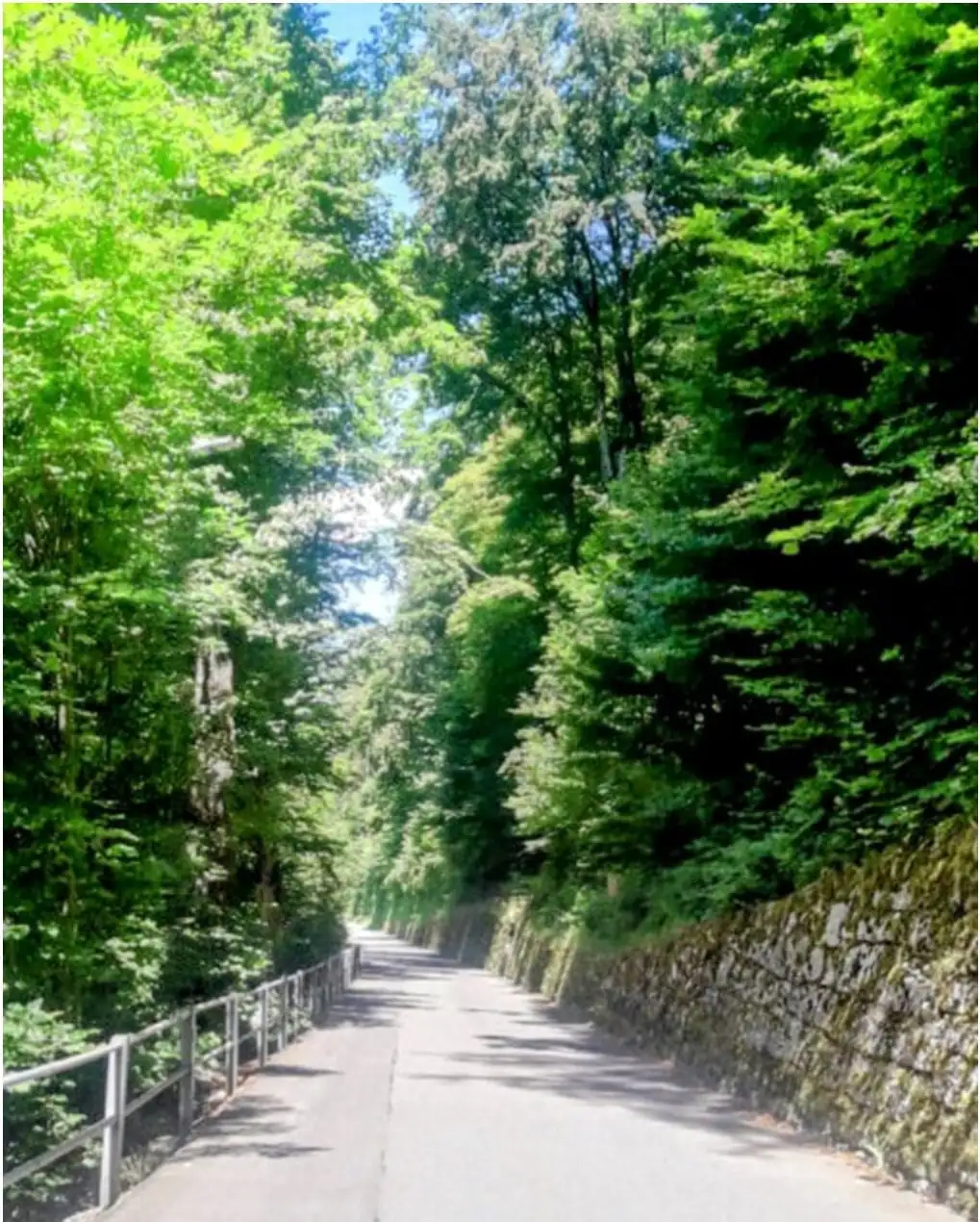 Interlaken Non Stop Intro Photo Sagari — Happy Tour Switzerland (4)