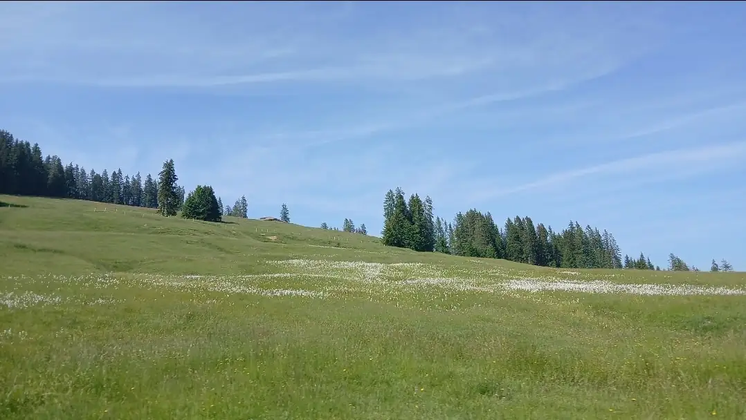 Paragliding Interlaken Switzerland Interlaken — Happy Tour Switzerland (4)