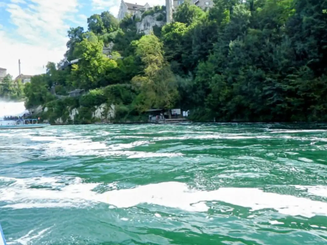 Rhine Waterfall Black Forest Schluchsee Germany — Happy Tour Switzerland (8)