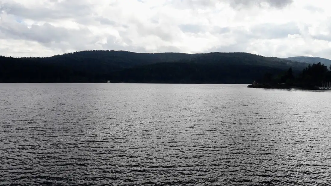 Rhine Waterfall Black Forest Schluchsee Germany — Happy Tour Switzerland (13)