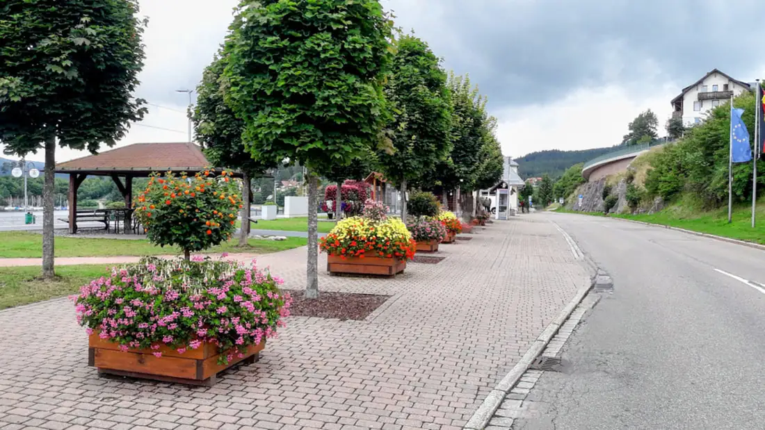 Rhine Waterfall Black Forest Schluchsee Germany — Happy Tour Switzerland (16)