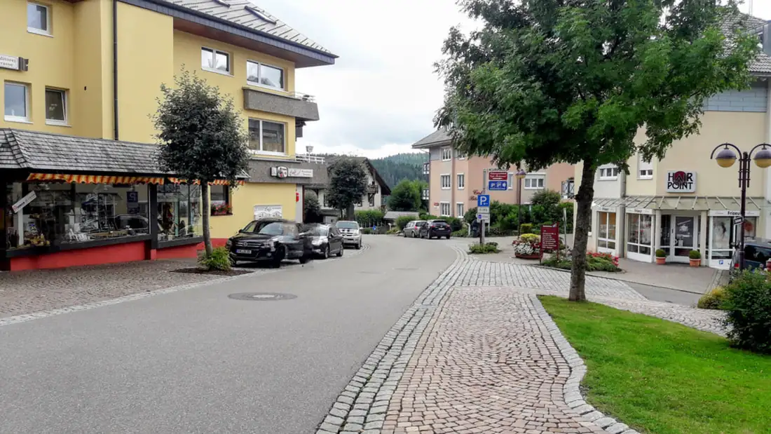 Rhine Waterfall Black Forest Schluchsee Germany — Happy Tour Switzerland (17)