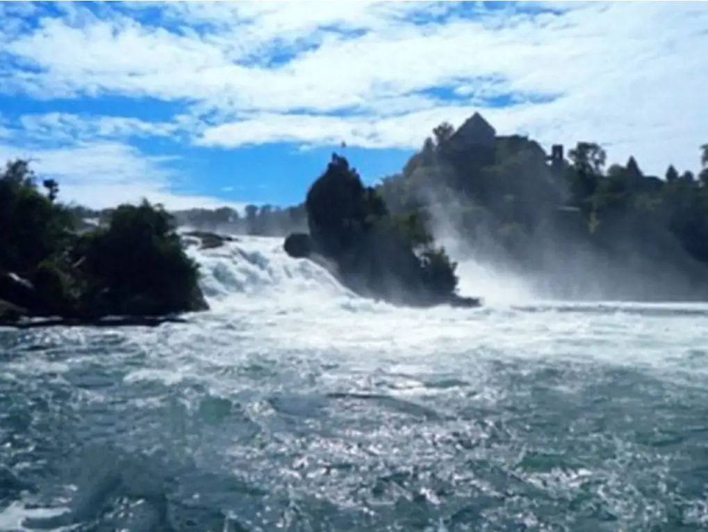 Rhine Falls + Black Forest Cake Tour Bern, Thun — Happy Tour Switzerland (6)