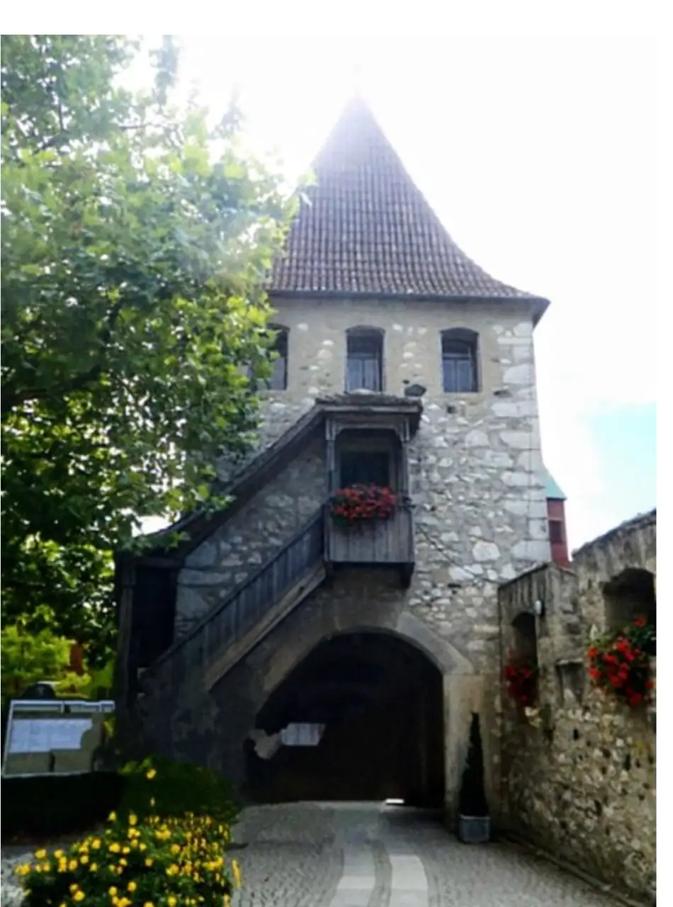 Rhine Falls Rheinfall Only Private Sightseeing — Happy Tour Switzerland (12)