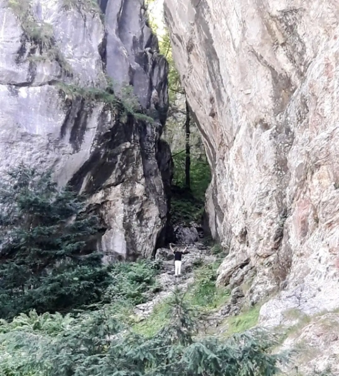 See It All — Happy Tour Switzerland (14)