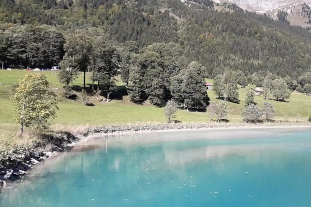 See It All — Happy Tour Switzerland (17)