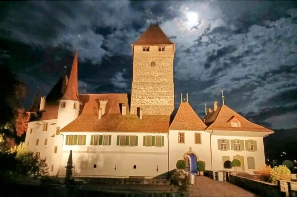 Spiez Walking Tour Spiez — Happy Tour Switzerland (3)