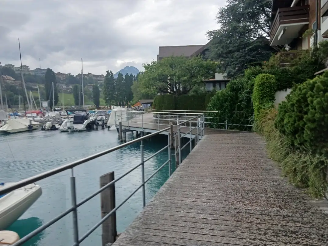 Spiez Walking Tour Spiez — Happy Tour Switzerland (8)
