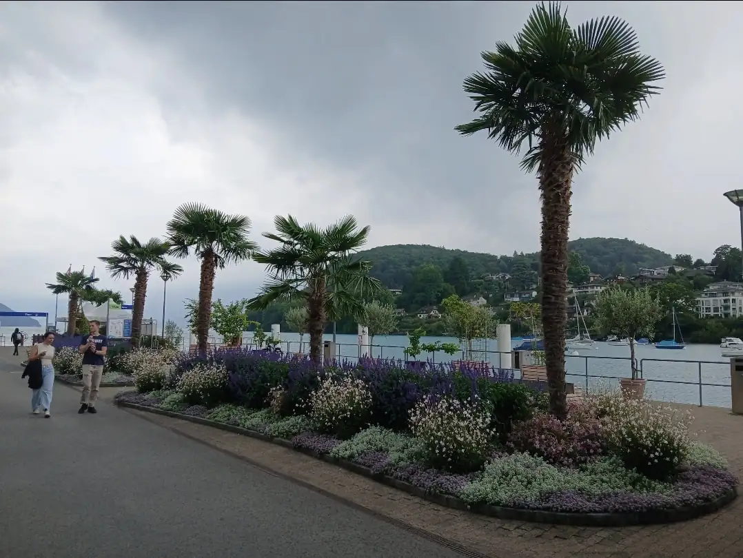 Spiez Walking Tour Spiez — Happy Tour Switzerland (6)