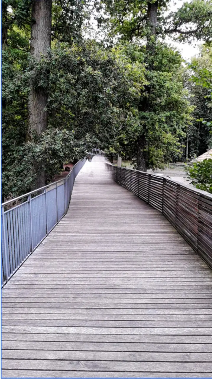 Zoo + Bern Old Capital Tour Bern, Thun — Happy Tour Switzerland (15)