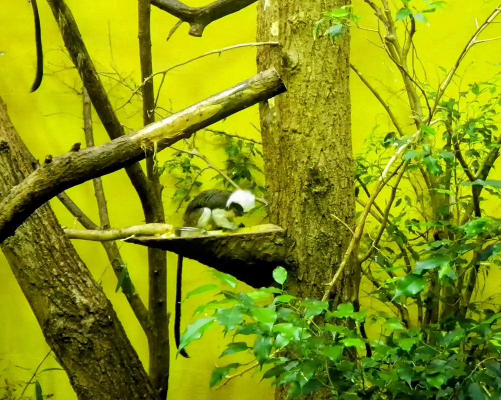 Zoo Bern Imgp5327 — Happy Tour Switzerland (20)